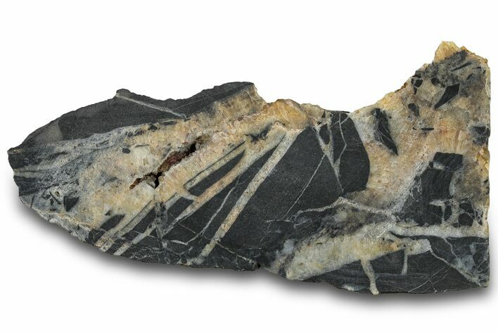 Midcontinent Rift Section - Ontario, Canada #300060